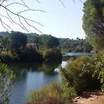 De Madera Junto Al Jaras *