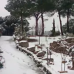 De Madera Junto Al Jaras Horská chata