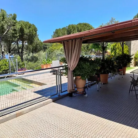 De Madera Junto Al Jaras * Cordoba