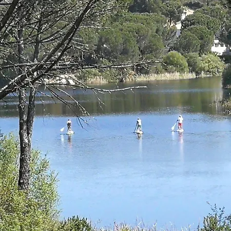De Madera Junto Al Jaras 木屋