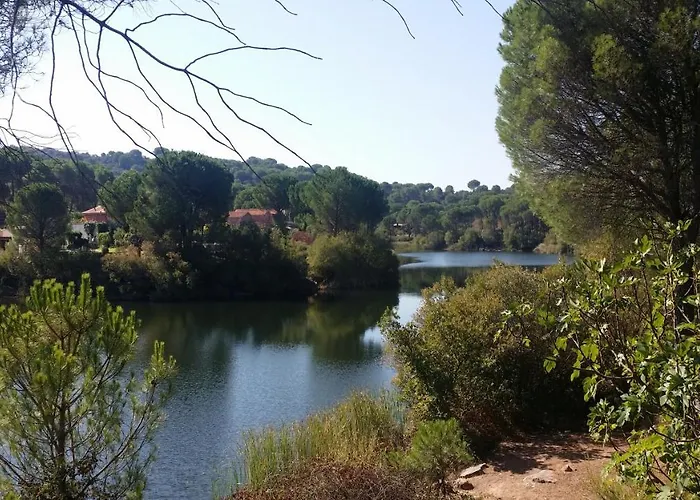 De Madera Junto Al Jaras *