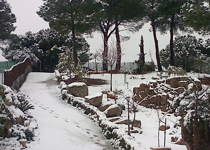 De Madera Junto Al Jaras Domek alpejski