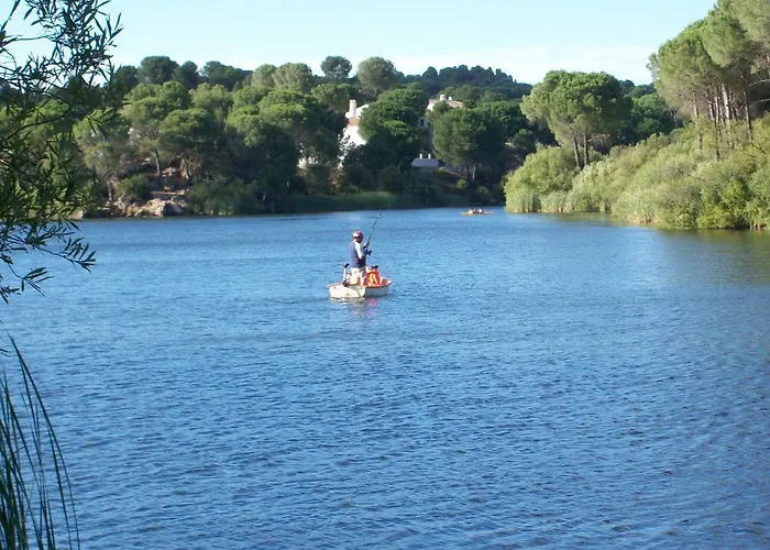 De Madera Junto Al Jaras