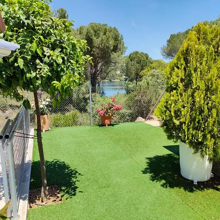 De Madera Junto Al Jaras * Córdoba